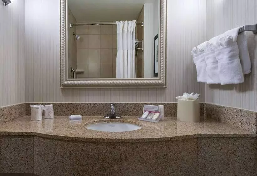 スタンダードルーム, Hilton Garden Inn Tallahassee Central
