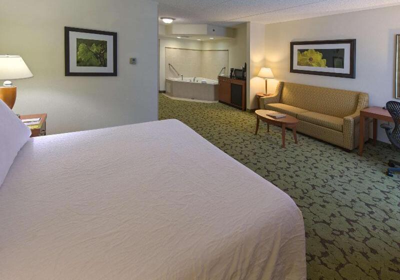 غرفة قياسية سرير كينج, Hilton Garden Inn Tallahassee Central