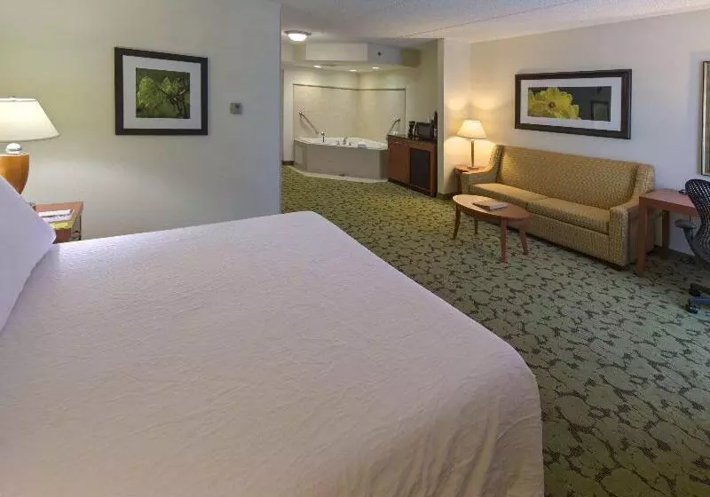 キングサイズベッドのスタンダードルーム, Hilton Garden Inn Tallahassee Central