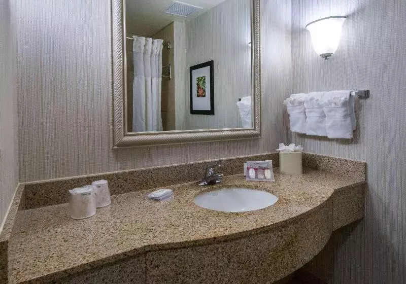キングサイズベッドのスタンダードルーム, Hilton Garden Inn Tallahassee Central