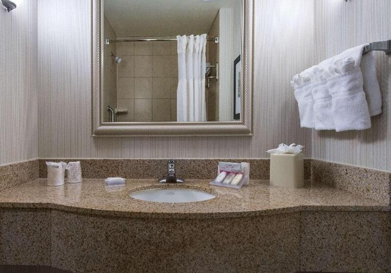 プレミアムルーム, Hilton Garden Inn Tallahassee Central