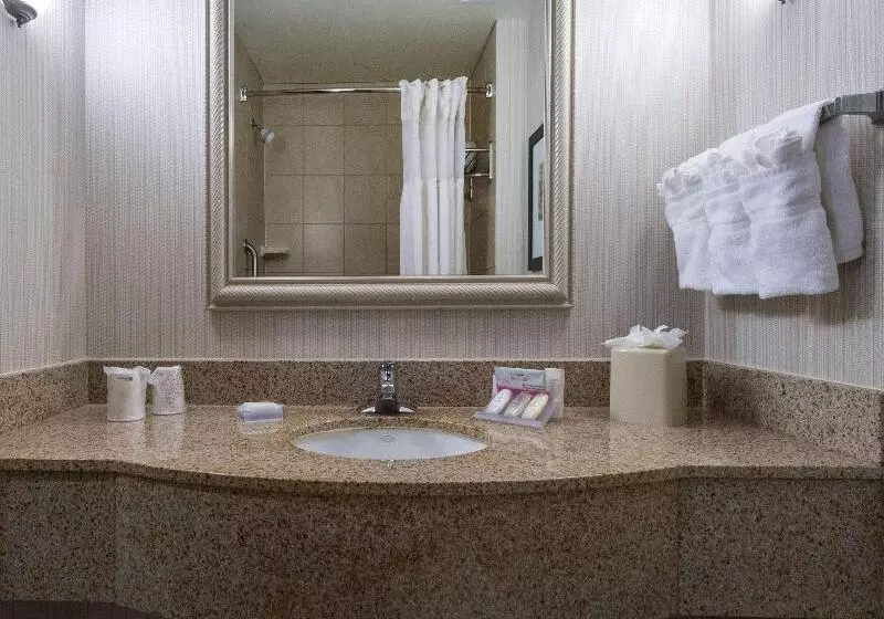 プレミアムルーム, Hilton Garden Inn Tallahassee Central