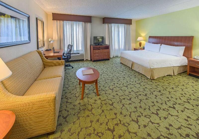 غرفة قياسية سرير كينج, Hilton Garden Inn Tallahassee Central