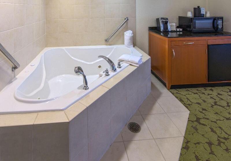 キングサイズベッドのスタンダードルーム, Hilton Garden Inn Tallahassee Central