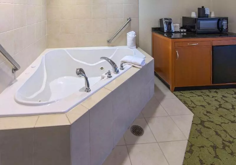 キングサイズベッドのスタンダードルーム, Hilton Garden Inn Tallahassee Central