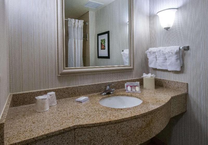 غرفة قياسية سرير كينج, Hilton Garden Inn Tallahassee Central