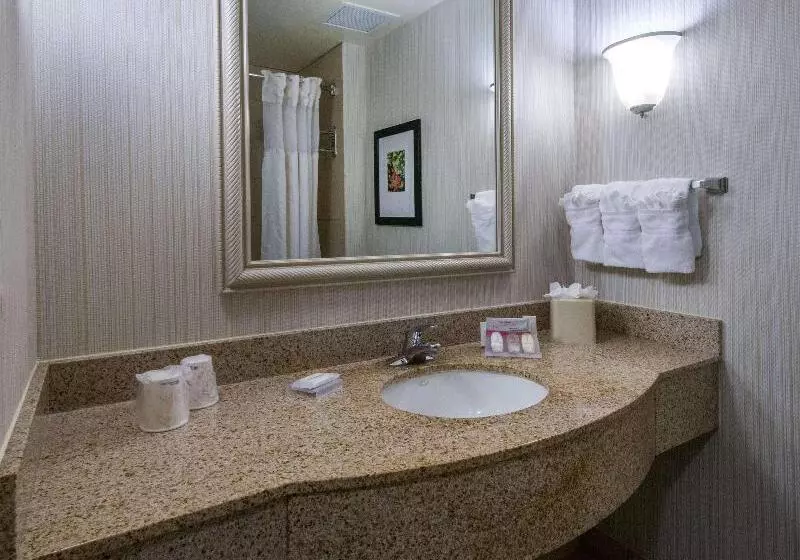 キングサイズベッドのスタンダードルーム, Hilton Garden Inn Tallahassee Central