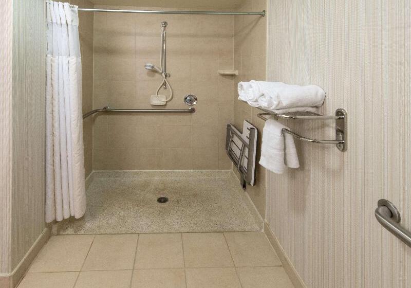 غرفة قياسية سرير كينج, Hilton Garden Inn Tallahassee Central