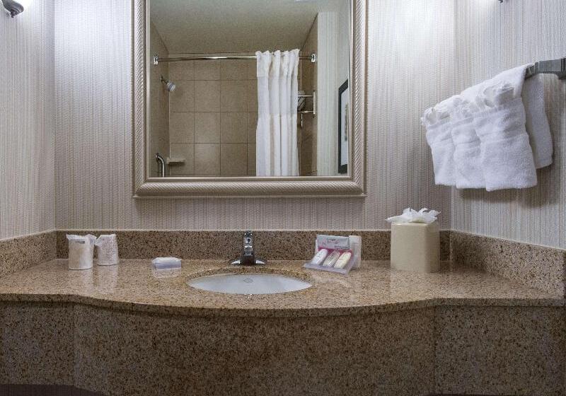 キングサイズベッドのスタンダードルーム, Hilton Garden Inn Tallahassee Central