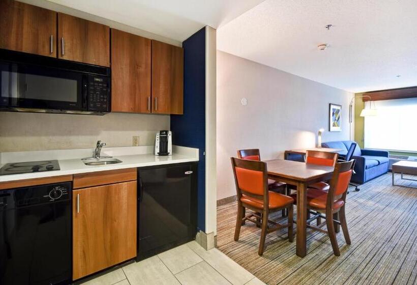 Suite Łóżko King Size, Holiday Inn Express Newport North   Middletown, An Ihg