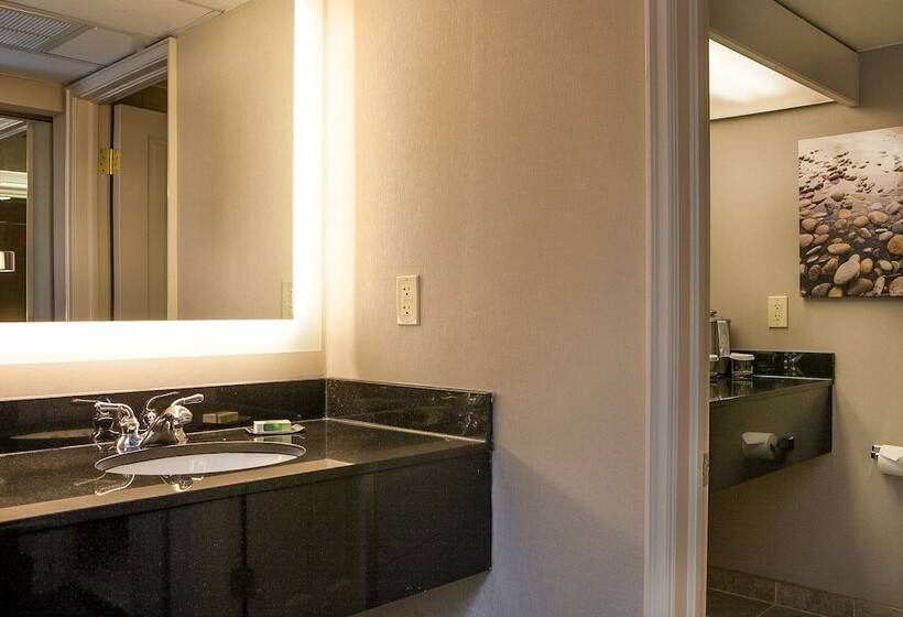 غرفه قياسيه سريرين مزدوجين, Riverside Hotel, Bw Premier Collection