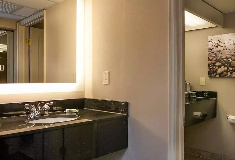 اتاق استاندارد با 2 تخت دوبل, Riverside Hotel, Bw Premier Collection