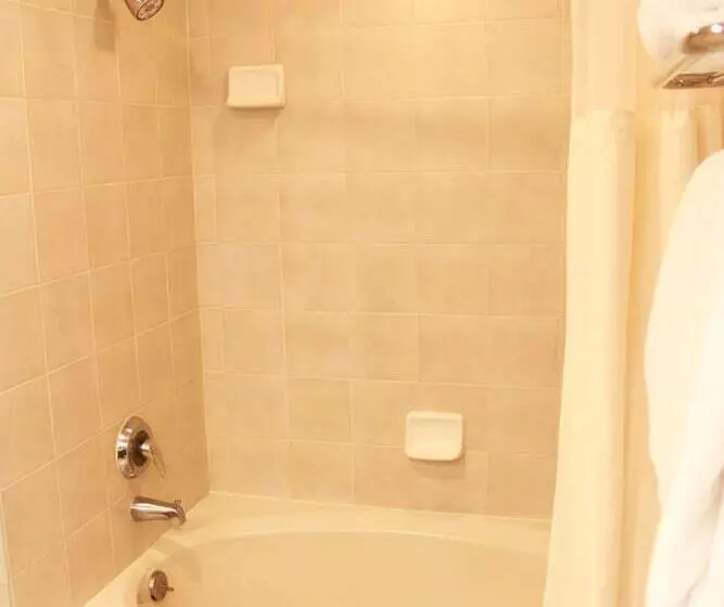 اتاق استاندارد با تخت دوبل, Riverside Hotel, Bw Premier Collection