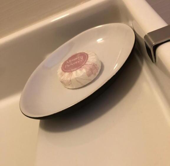 Семейный Номер, Pension S Láskou Karel Bezděz