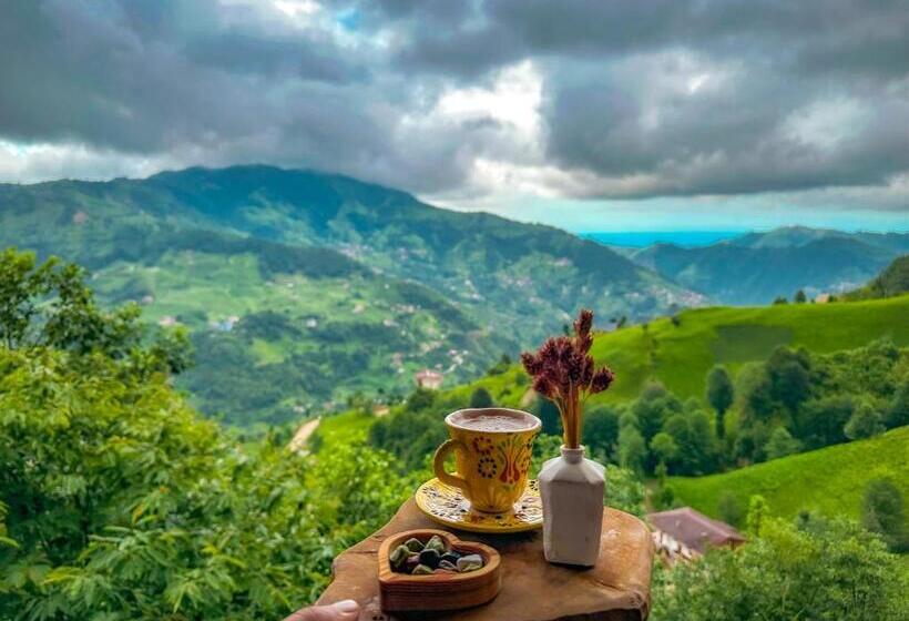 スタンダードルーム, Organic Village Bungalow