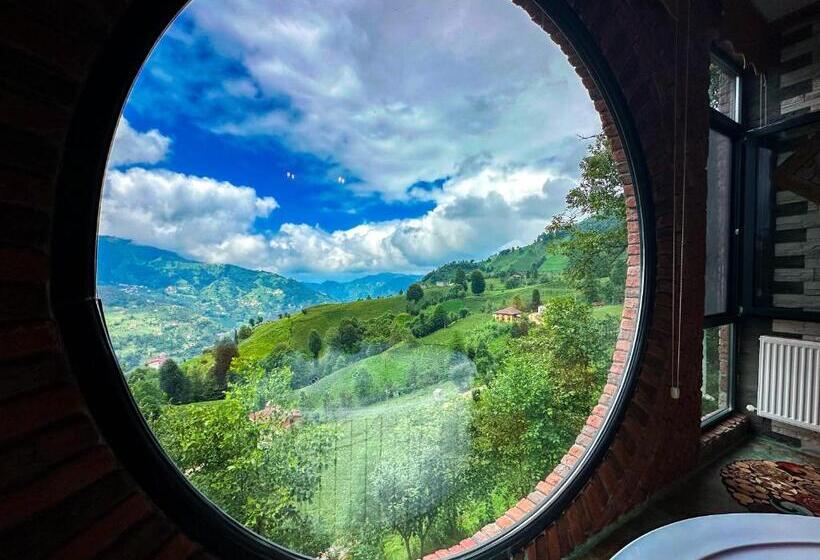 マウンテンビュースタンダードルーム, Organic Village Bungalow