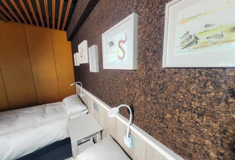 اتاق استاندارد, Urdaibai Bird Center