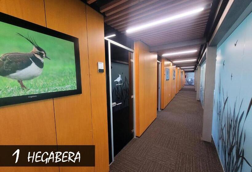 Номер Стандарт, Urdaibai Bird Center