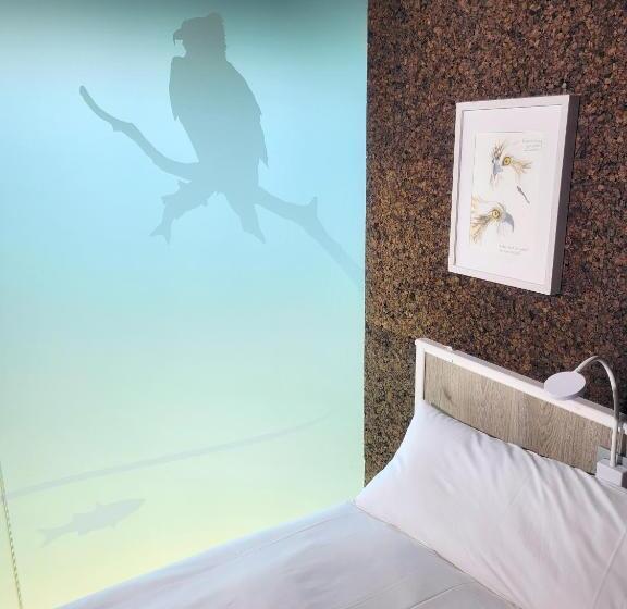 اتاق استاندارد, Urdaibai Bird Center