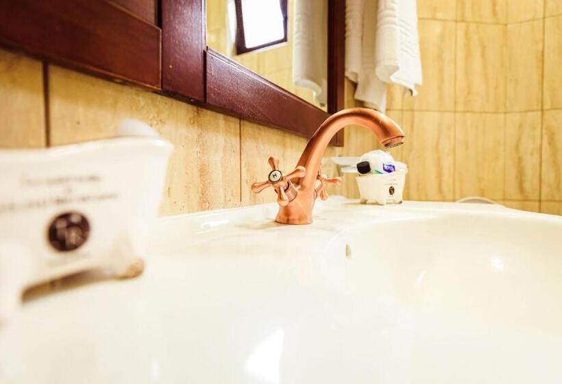 豪华套房, Pensiunea Iris