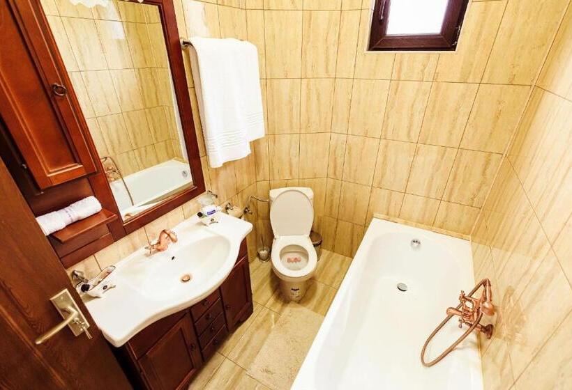 豪华套房, Pensiunea Iris