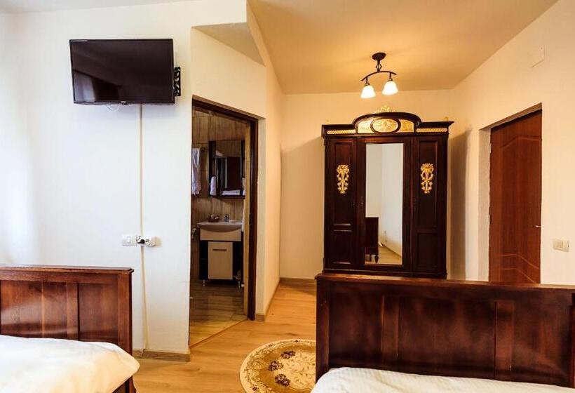 带大床的标准间, Pensiunea Iris