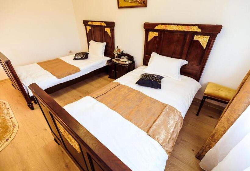 带大床的标准间, Pensiunea Iris