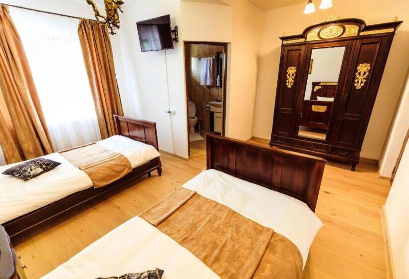 带大床的标准间, Pensiunea Iris