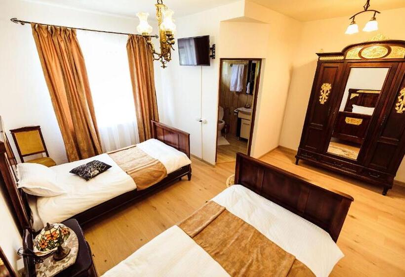 带大床的标准间, Pensiunea Iris