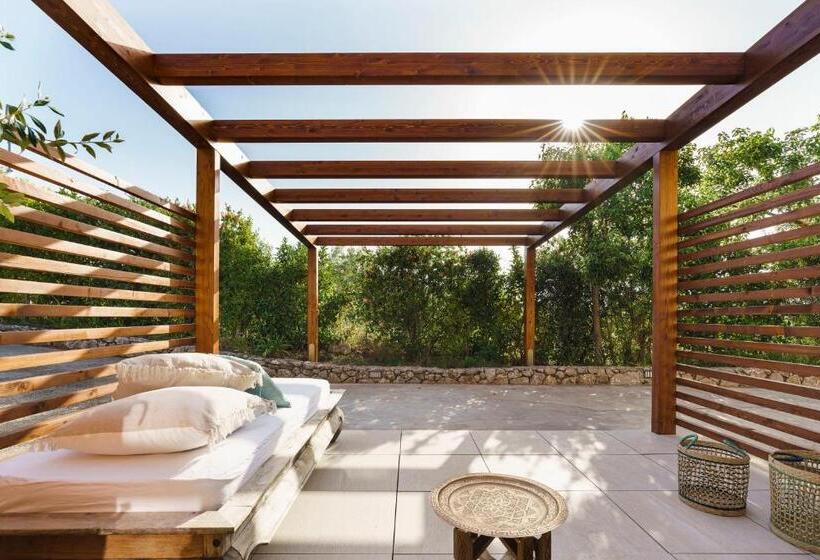 标准间内部标间, Cocciu D Amuri