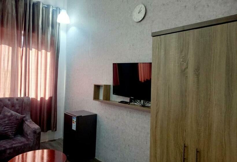 اتاق استاندارد یک نفره, Twins Downtown