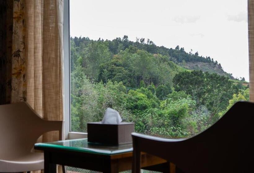 高级大房间, Radosri