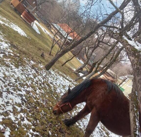 标准间, Room In Guest Room Sejour In Green Garden With Lake View For 2 People