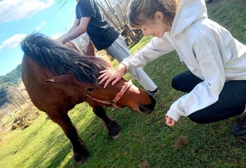 标准间, Room In Guest Room Sejour In Green Garden With Lake View For 2 People