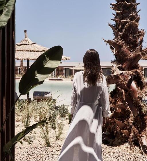 سوییت جونیور با چشمانداز استخر, Casa Cook North Coast Adults Only