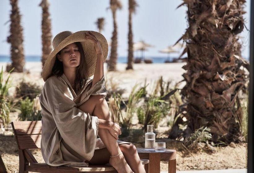 سوییت با چشم‌انداز دریا, Casa Cook North Coast    Adults Only