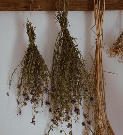 舒适三人间, Axatorpsgården