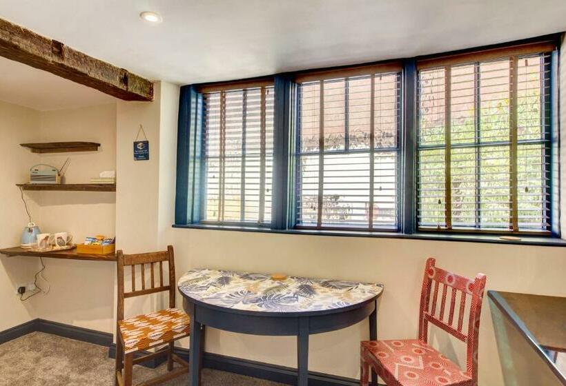 חדר סטנדרט, The Green Parrot