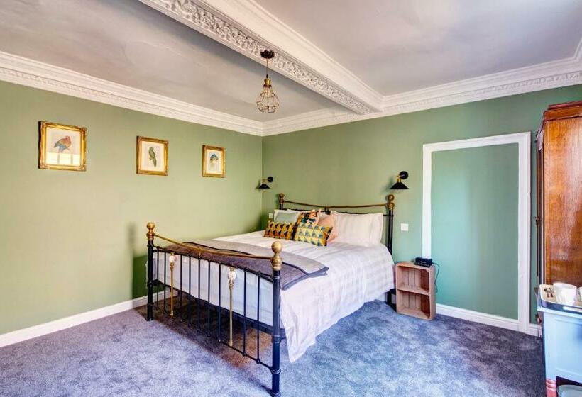 חדר סופריור עם מיטת קינג, The Green Parrot