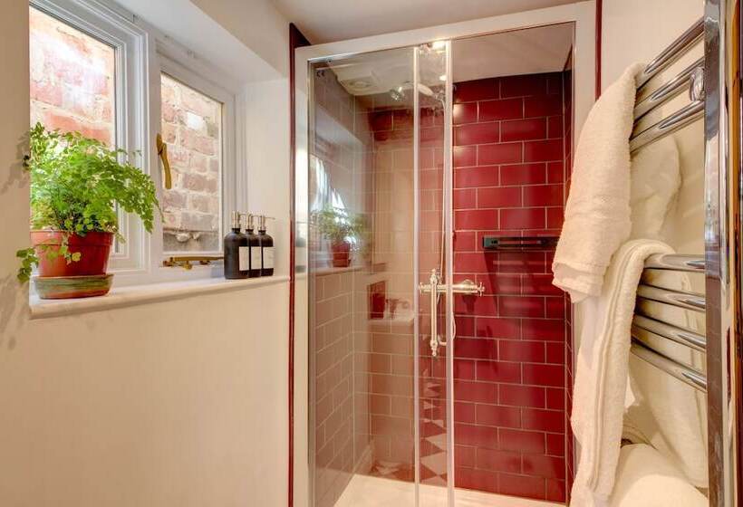 חדר סטנדרט, The Green Parrot