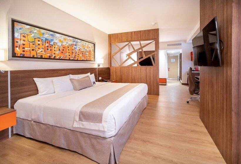 سوئیت با تخت بزرگ, Metria