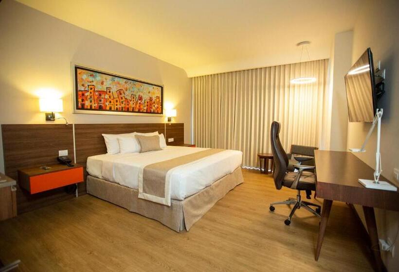 اتاق استاندارد با تخت بزرگ, Metria