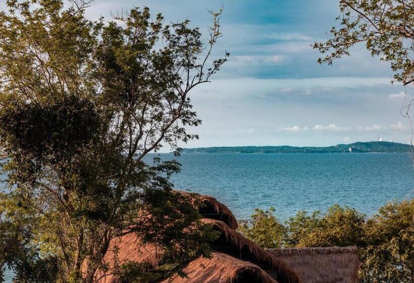 غرفة ديلوكس سرير كينج, Sofitel Barú Calablanca