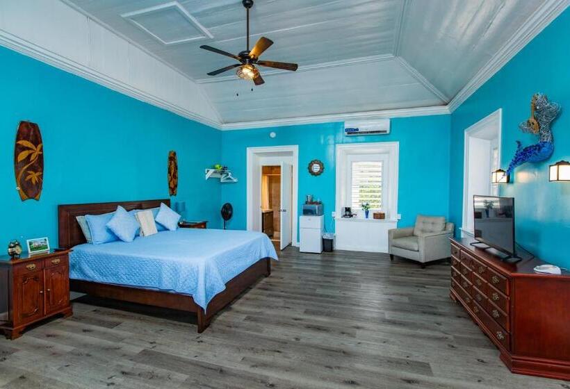 استودیو استاندارد با تخت کینگ, Victoria House