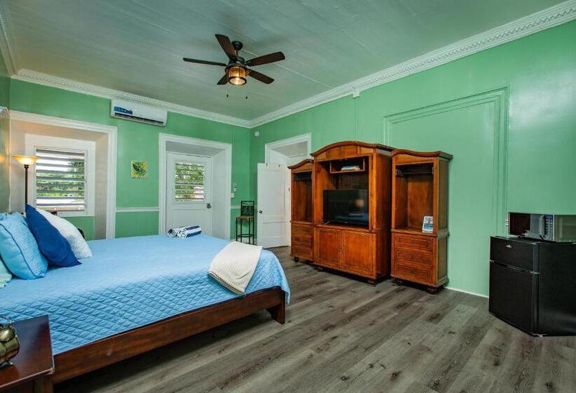 استودیو استاندارد با چشمانداز باغ, Victoria House