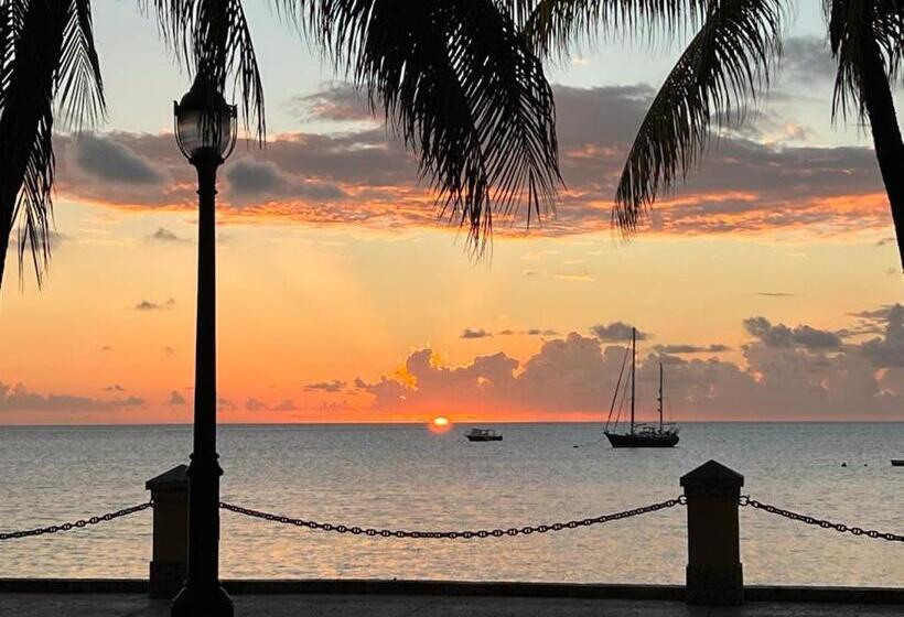 استودیوی لوکس, Victoria House