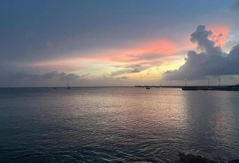 استودیو استاندارد با تخت کینگ, Victoria House