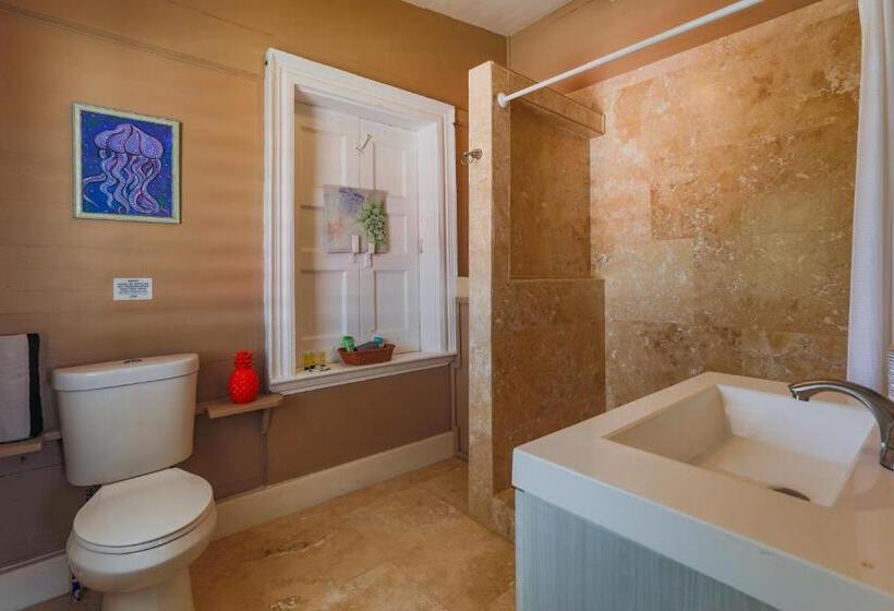 استودیوی استاندارد, Victoria House