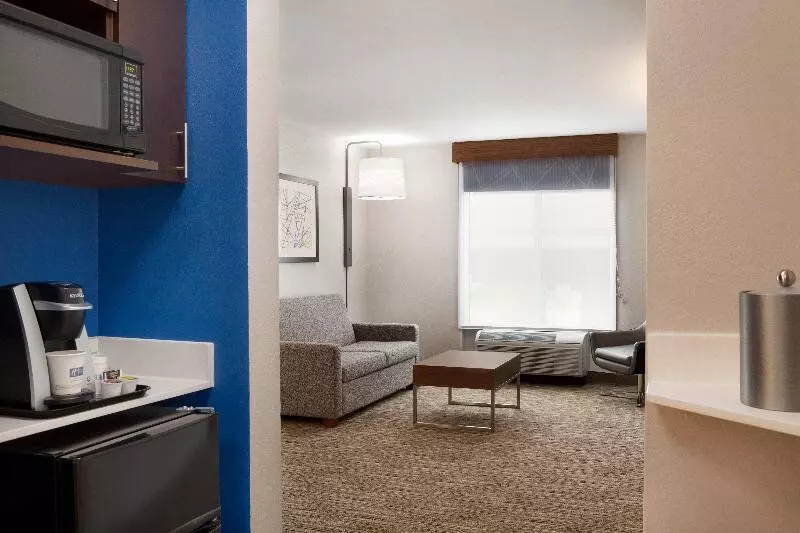 キングサイズベッドのスイートルーム, Holiday Inn Express Hotel & Suites Auburn University Area, An Ihg