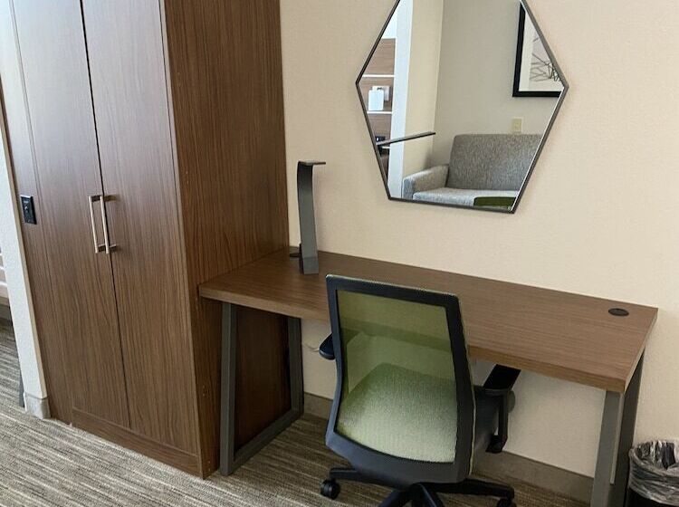 Номер Стандарт, Holiday Inn Express Hotel & Suites Auburn   University Area, An Ihg